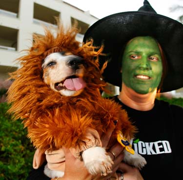 Pet Masquerade and Parade 2008 photo - Duval Street, Key West